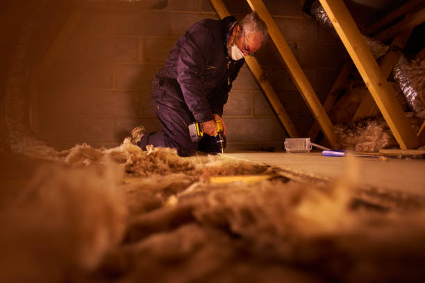 Best Commercial Insulation Services  in Metropolis, IL